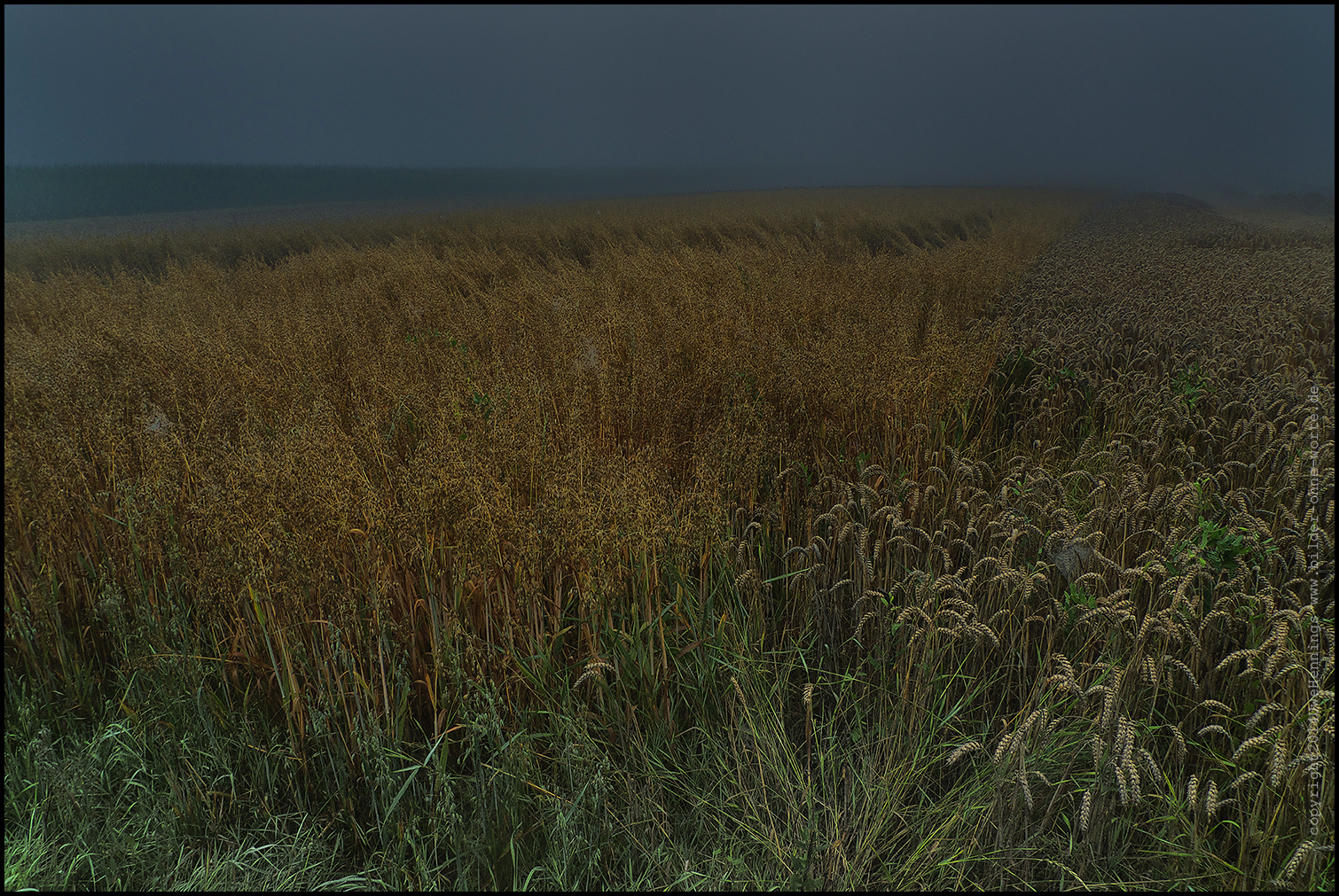 P1060744 Kopie Kopiekl